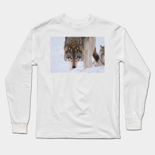 Timber Wolves Long Sleeve T-Shirt by jaydee1400